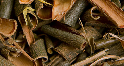 Willow Bark